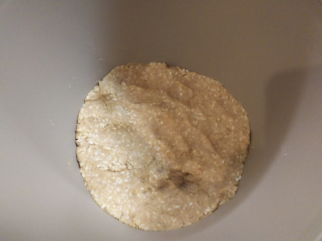 20190113-106-自家製味噌 仕込み.JPG