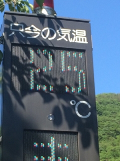 resized_01.jpg