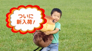 新入荷！】でっかい野洲のおっさんヌイグルミ | アミンチュプロジェクト