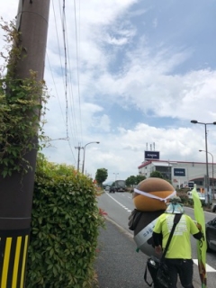 image1.jpeg