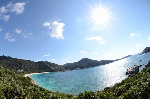 渡嘉敷島 ダイビング