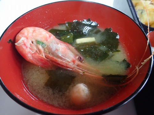 田辺 ダイビング