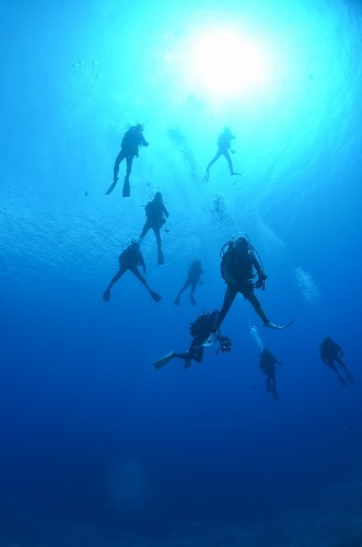 西表島 ダイビング