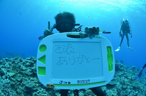 西表島 ダイビング