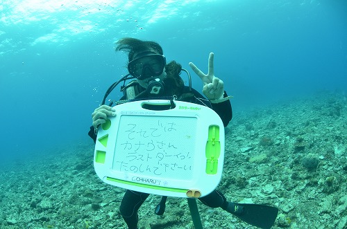 西表島 ダイビング