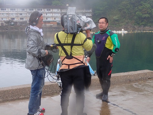 竹野 ダイビング