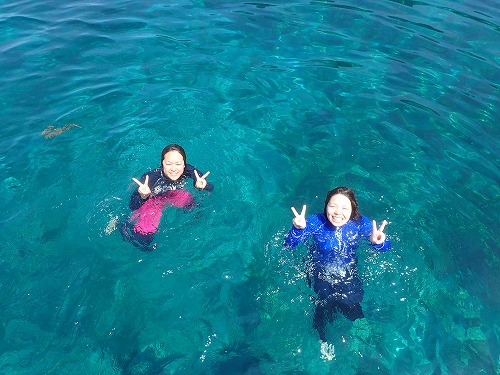 鵜来島 ダイビング