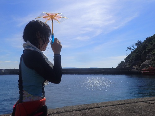 鵜来島 ダイビング