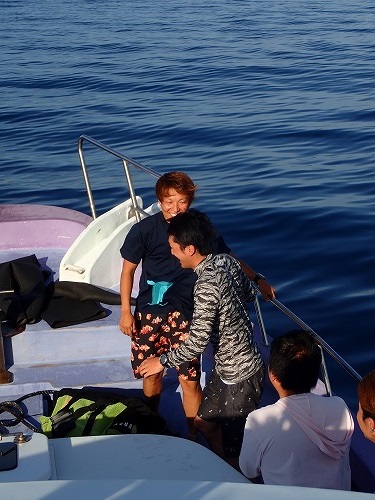 鵜来島 ダイビング
