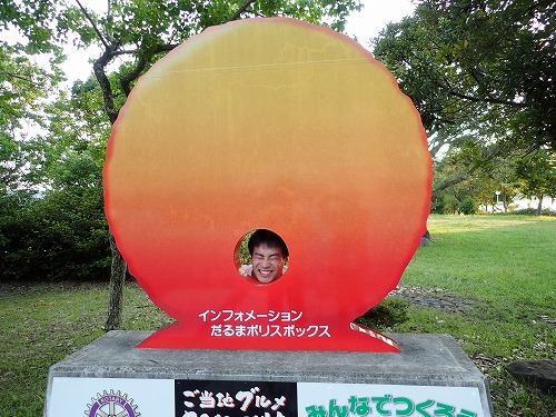 鵜来島 ダイビング