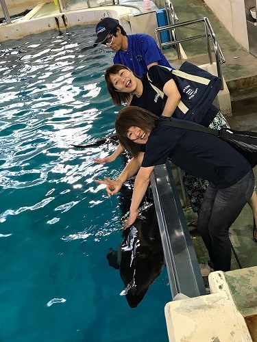 能登島 ドルフィンスイム