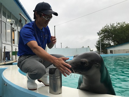 能登島 ドルフィンスイム