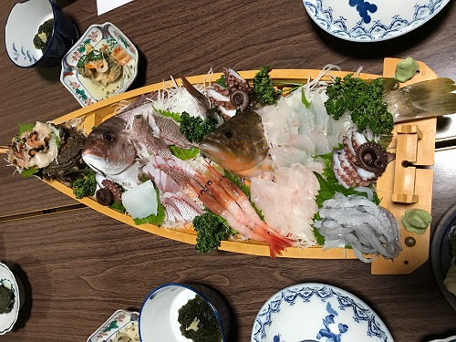 能登島 ドルフィンスイム