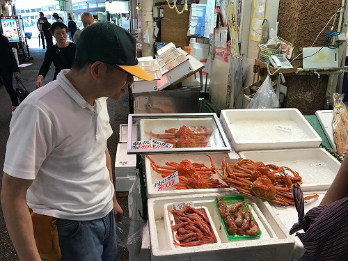 能登島 ドルフィンスイム