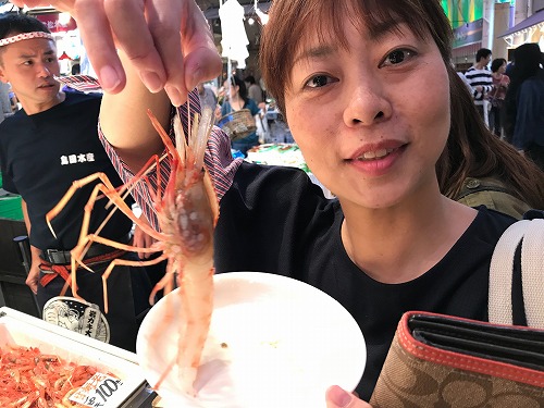能登島 ドルフィンスイム