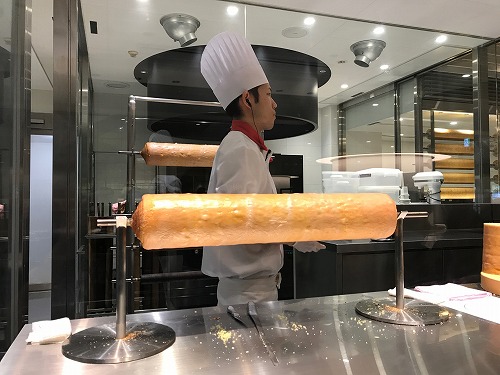 能登島 ドルフィンスイム