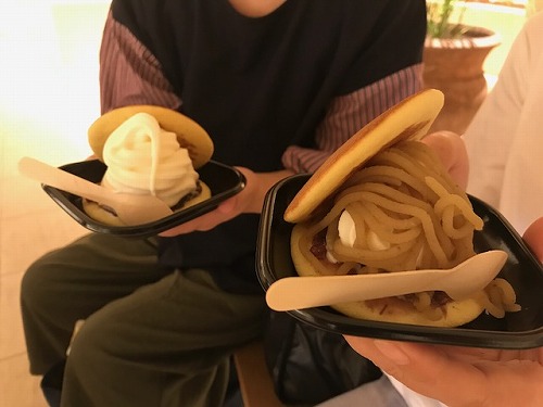 能登島 ドルフィンスイム