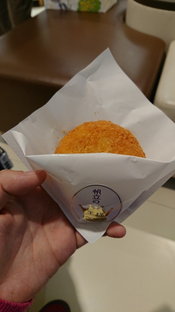 北海道 ニセコ ボード