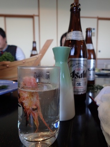 越前 カニツアー