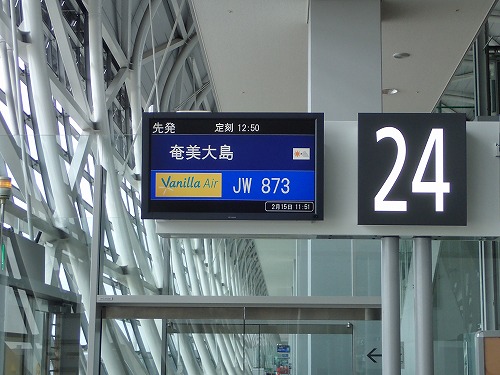 加計呂麻 クジラスイム