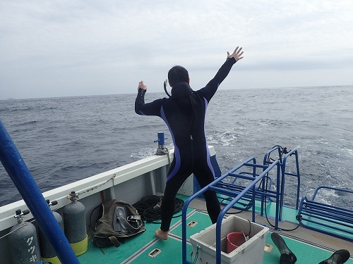 加計呂麻 クジラスイム