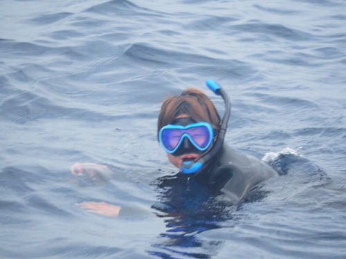 加計呂麻 クジラスイム