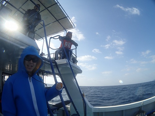 加計呂麻 クジラスイム