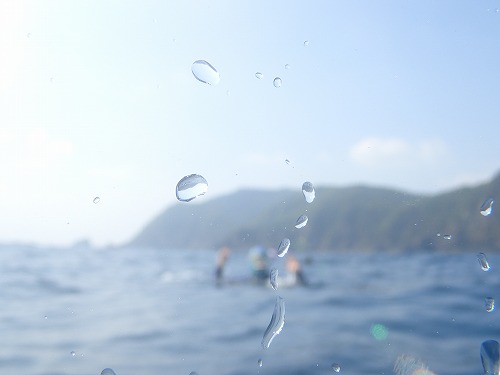 加計呂麻 クジラスイム