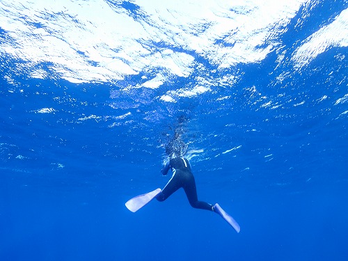 加計呂麻 クジラスイム
