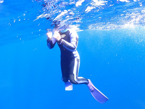 加計呂麻 クジラスイム