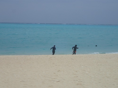 与論島 クジラスイム