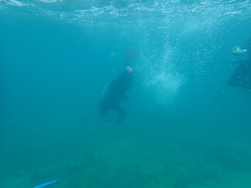 与論島 クジラスイム