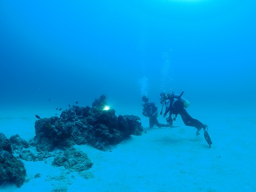 与論島 ダイビング