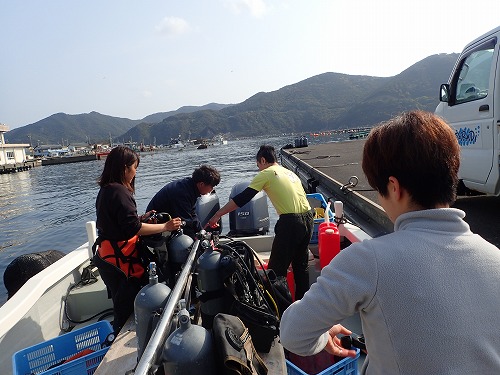 柏島 ダイビング