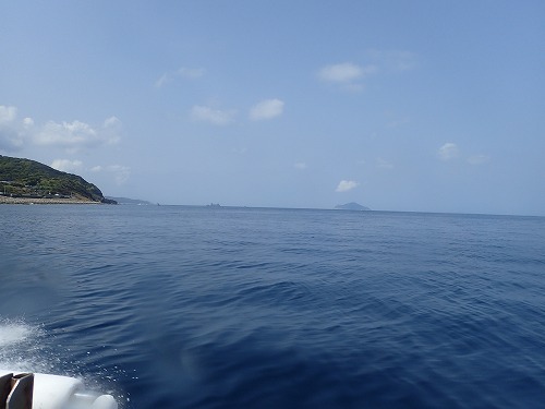 柏島 ダイビング