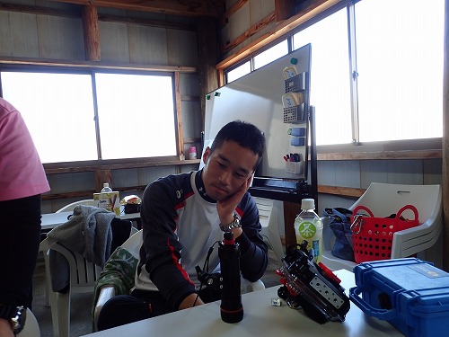 田辺 ダイビング