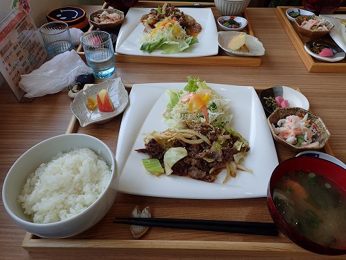 竹野 ダイビング