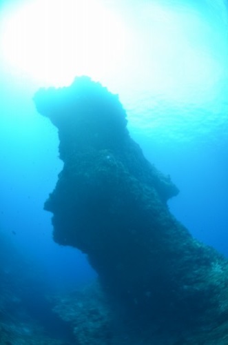 与論島 ダイビング