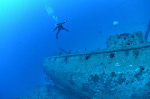 与論島 ダイビング