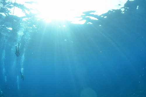 与論島 ダイビング