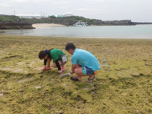 与論島 ダイビング