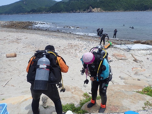 柏島 ダイビング