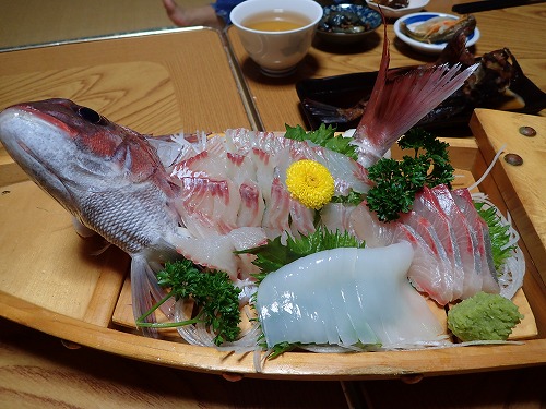 竹野 ダイビング