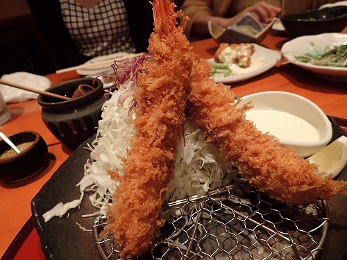 御蔵島 ドルフィンスイム