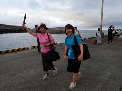 御蔵島 ドルフィンスイム