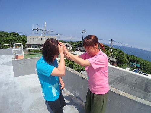 御蔵島 ドルフィンスイム