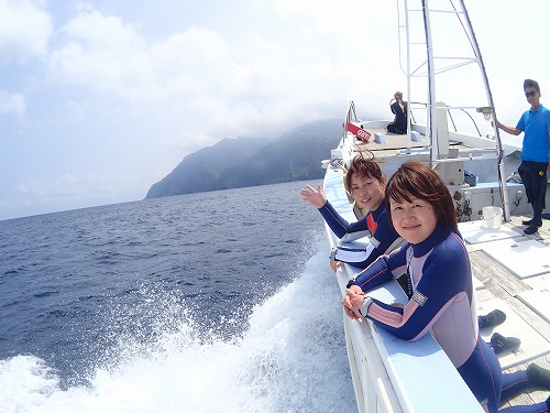御蔵島 ドルフィンスイム
