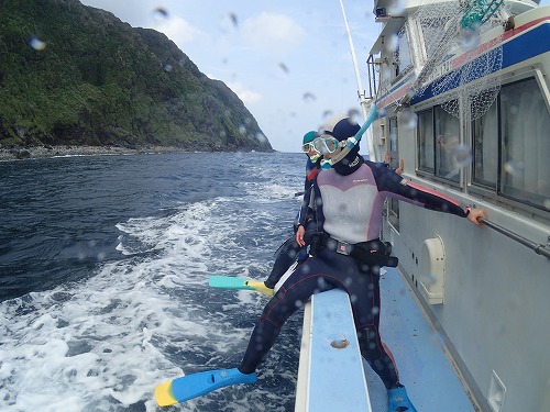 御蔵島 ドルフィンスイム