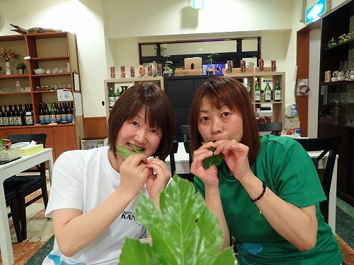 御蔵島 ドルフィンスイム