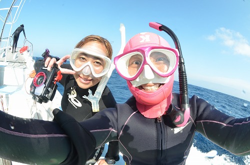 御蔵島 ドルフィンスイム